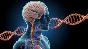 The Creative Dialogue Between Mind and Genes The New Neuroscience of Psychotherapy